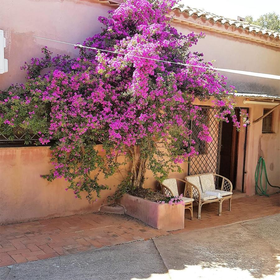 B&B Le Corti Di Aloa San Pantaleo Exterior foto