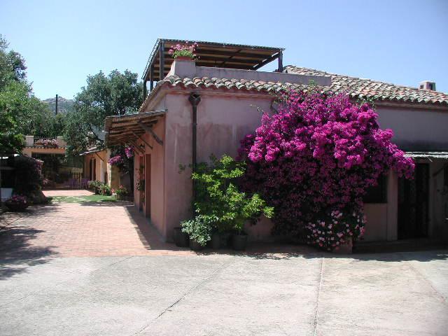 B&B Le Corti Di Aloa San Pantaleo Exterior foto