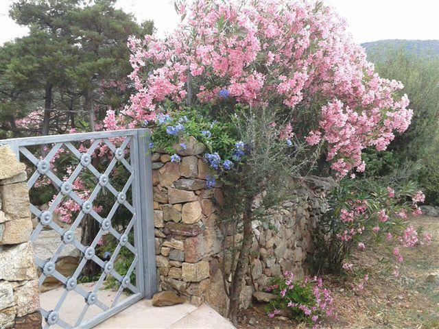 B&B Le Corti Di Aloa San Pantaleo Exterior foto