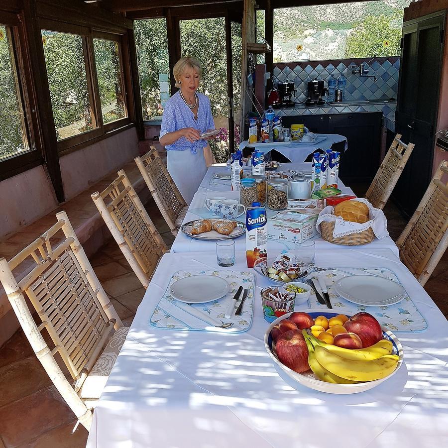 B&B Le Corti Di Aloa San Pantaleo Exterior foto